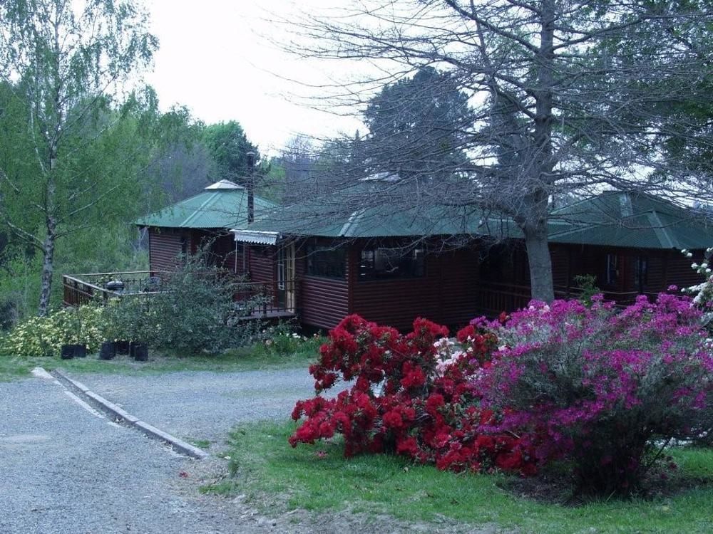 Maple Grove Vila Hogsback Exterior foto