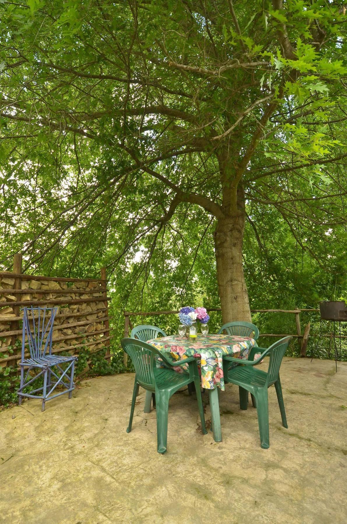 Maple Grove Vila Hogsback Exterior foto