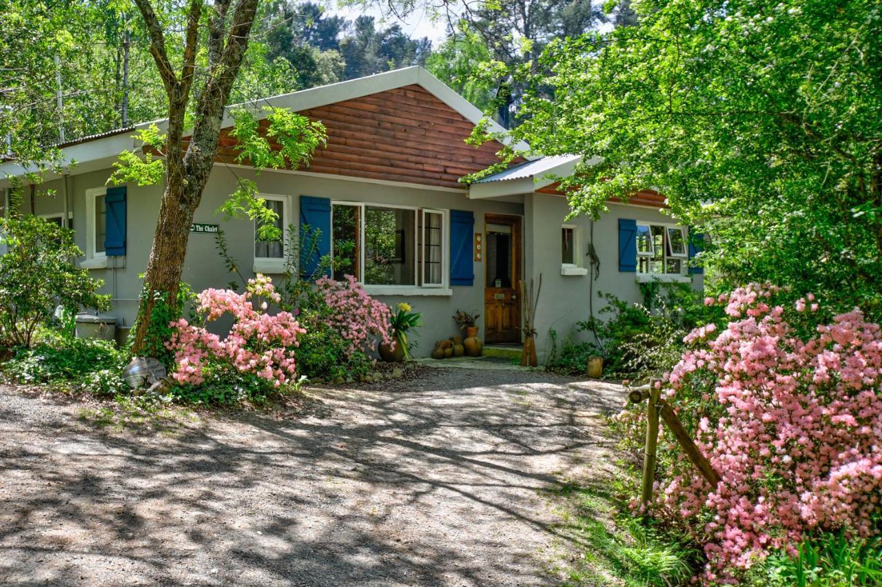 Maple Grove Vila Hogsback Exterior foto