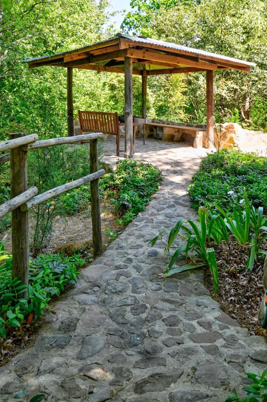 Maple Grove Vila Hogsback Exterior foto