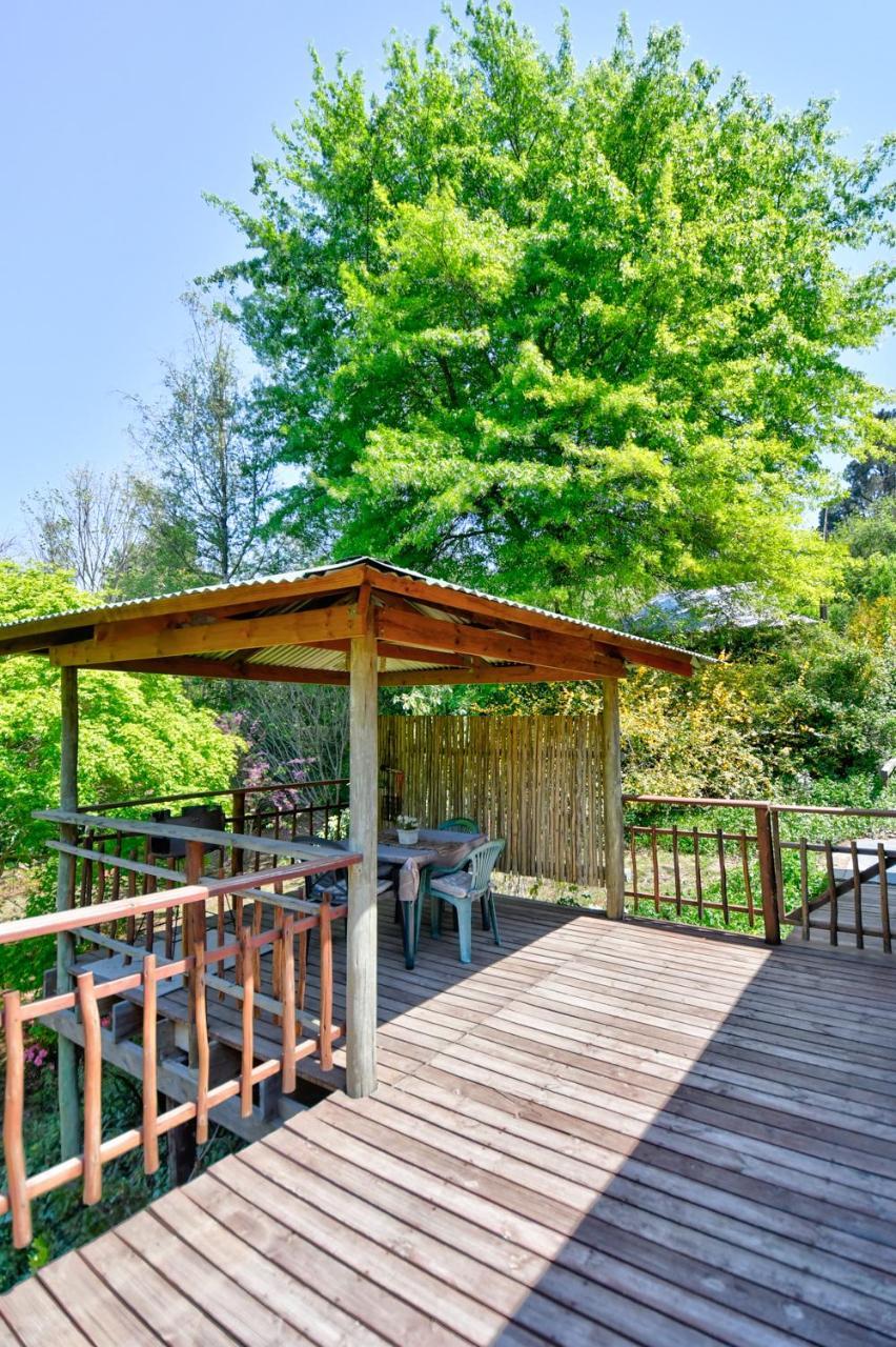 Maple Grove Vila Hogsback Exterior foto